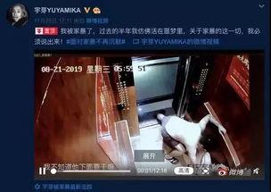 谁爆料家暴视频最新版下载,揭秘暴力真相,呼吁社会关注与干预 第1张 谁爆料家暴视频最新版下载,揭秘暴力真相,呼吁社会关注与干预 第1张