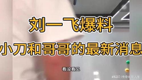 刘一飞最新爆料,揭秘娱乐圈惊人内幕 第3张 刘一飞最新爆料,揭秘娱乐圈惊人内幕 第3张