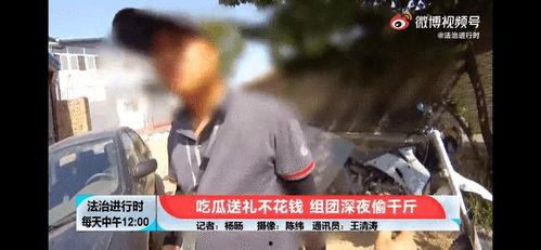 吃瓜爆料四千年视频大全 第1张 吃瓜爆料四千年视频大全 第1张